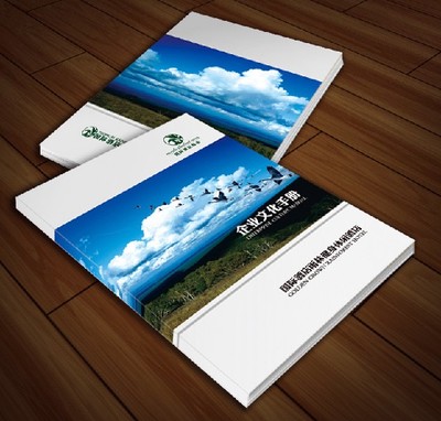 供應福建廣告印刷、畫冊印刷與雜志印刷 莆田印刷廠家的專業服務